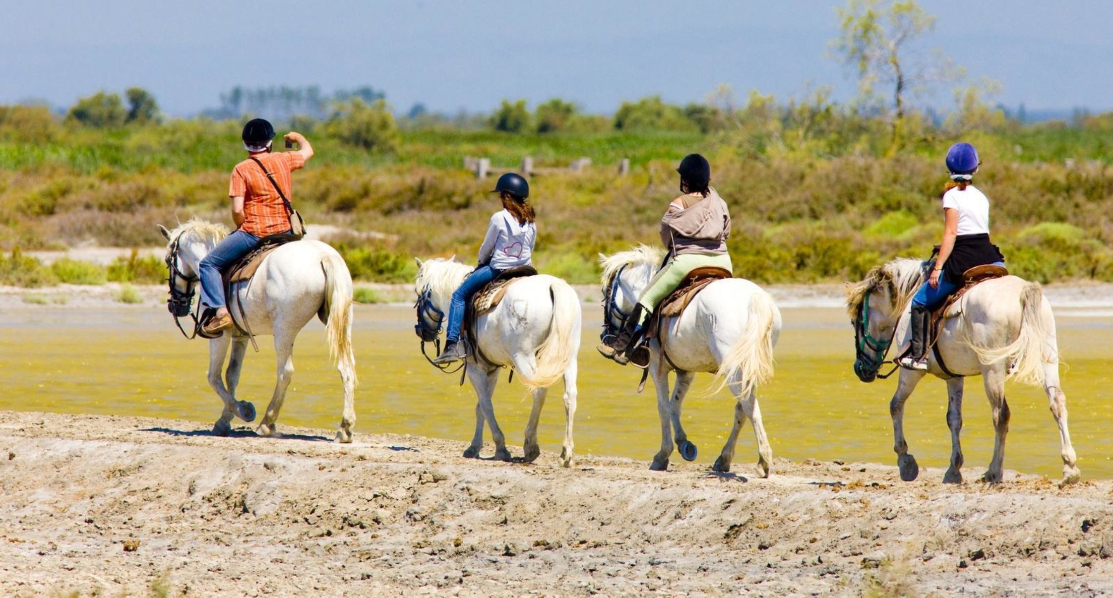 A La Découverte Des Arts Équestres En Camargue